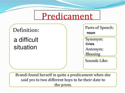predicament definition|predicament antonym.